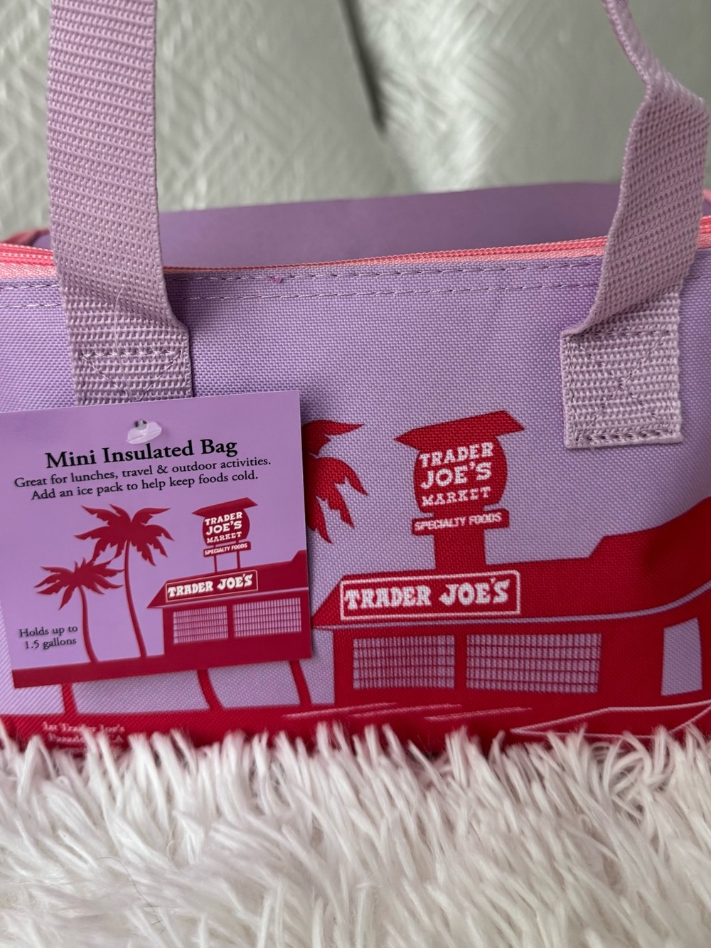 Trader Joe's Mini LUNCH BOX. NWT! New 2026 Summer collection!